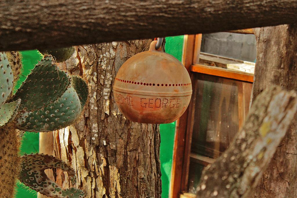Lonesome George Ecolodge Puerto Ayora  Exteriér fotografie