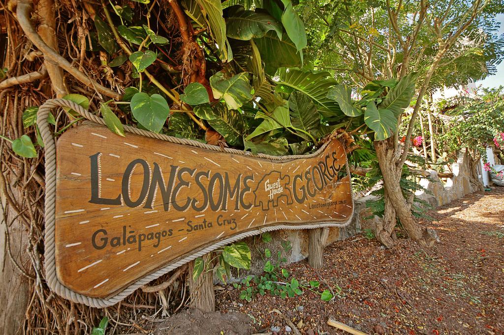 Lonesome George Ecolodge Puerto Ayora  Exteriér fotografie