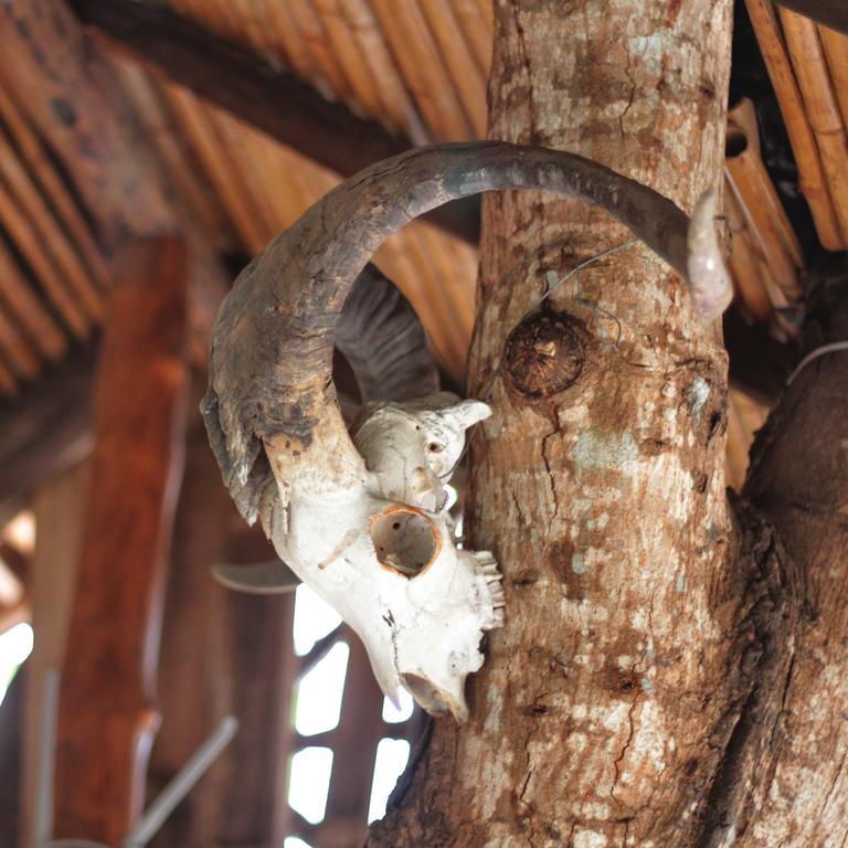 Lonesome George Ecolodge Puerto Ayora  Exteriér fotografie